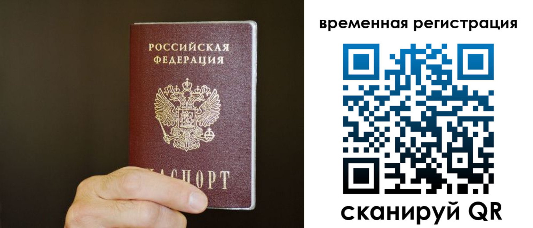 прописка гарантия в Исилькуле